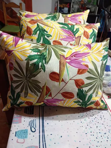 Almohadones tela Hindú 40cmx40cm