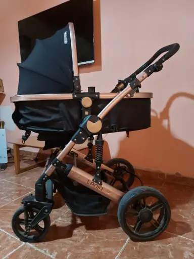 Coche Moisés para bebé